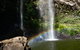 Rainforest & Waterfalls Extravaganza - thumb 4