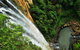 Rainforest & Waterfalls Extravaganza - thumb 2
