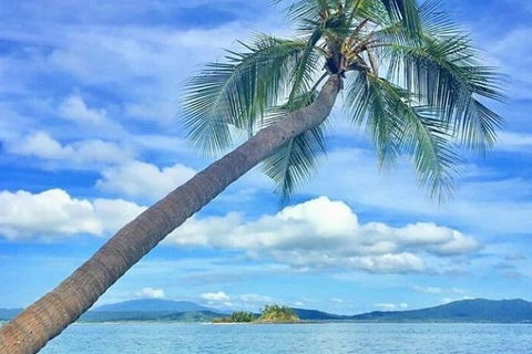 Dunk Island Round-Trip Water Taxi Transfer From Mission Beach - New Castle Tourism 6