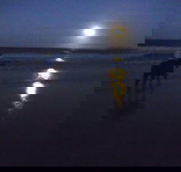 Full Moon Horse Ride at Rainbow Beach - Newcastle Accommodation