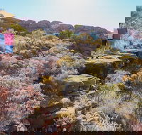 Kings Canyon Day Trip from Ayers Rock - New Castle Tourism