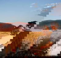 Uluru Ayers Rock Sunset with Outback Barbecue Dinner and Star Tour - New Castle Tourism