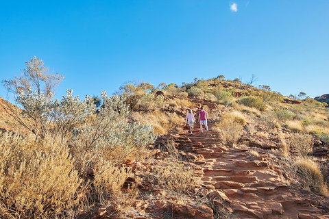 Kings Canyon Guided Rim Walk - New Castle Tourism 5