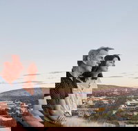 Alice Springs Highlights Half-Day Tour - Newcastle Accommodation