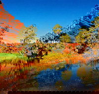 Palm Valley 4WD Day Tour - Newcastle Accommodation