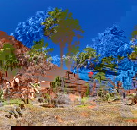 Palm Valley 4WD Tour from Alice Springs - Newcastle Accommodation