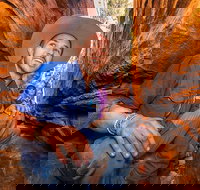 3-Day Red Centre Camping Safari from Alice Springs or Ayers Rock Including Kings Canyon - Newcastle Accommodation