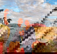 2-Day Uluru Ayers Rock and Kings Canyon Tour from Alice Springs - Newcastle Accommodation