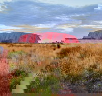 2-Day Uluru Ayers Rock National Park Explorer Trip from Alice Springs - Newcastle Accommodation