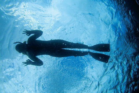 3-Hour Sea Turtle Snorkeling Experience In Byron Bay - New Castle Tourism 9