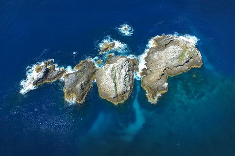 3-Hour Sea Turtle Snorkeling Experience In Byron Bay - New Castle Tourism 7