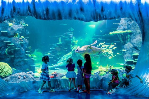 SEA LIFE Sydney Aquarium Entrance Ticket - Newcastle Accommodation 0
