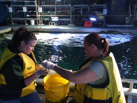 SEA LIFE Sydney Aquarium Entrance Ticket - Newcastle Accommodation 14