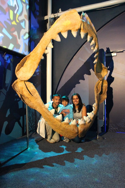 SEA LIFE Sydney Aquarium Entrance Ticket - Newcastle Accommodation 6
