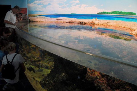 SEA LIFE Sydney Aquarium Entrance Ticket - Newcastle Accommodation 24