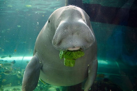 SEA LIFE Sydney Aquarium Entrance Ticket - Newcastle Accommodation 1