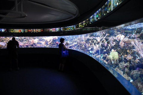 SEA LIFE Sydney Aquarium Entrance Ticket - Newcastle Accommodation 23