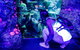 SEA LIFE Sydney Aquarium Entrance Ticket - thumb 30