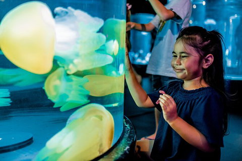 SEA LIFE Sydney Aquarium Entrance Ticket - Newcastle Accommodation 26