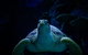 SEA LIFE Sydney Aquarium Entrance Ticket - thumb 33