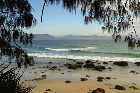 3-Hour Small-Group Byron Bay Tour - New Castle Tourism 8