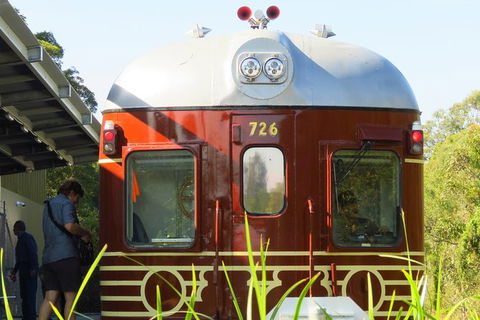3-Hour Small-Group Byron Bay Tour - New Castle Tourism 7