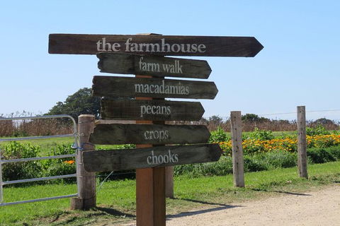 3-Hour Small-Group Byron Bay Tour - New Castle Tourism 3