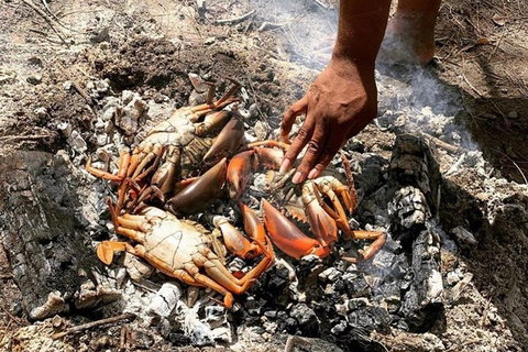 Pot To Plate Adventure - Newcastle Accommodation 10