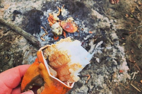 Pot To Plate Adventure - Newcastle Accommodation 4