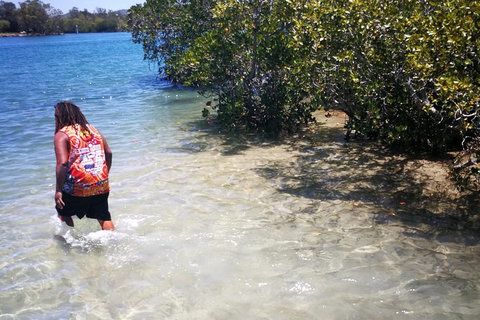 Pot To Plate Adventure - Newcastle Accommodation 3