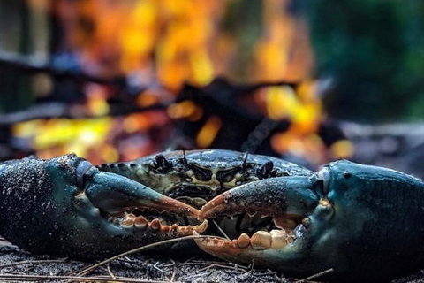 Pot To Plate Adventure - Newcastle Accommodation 11