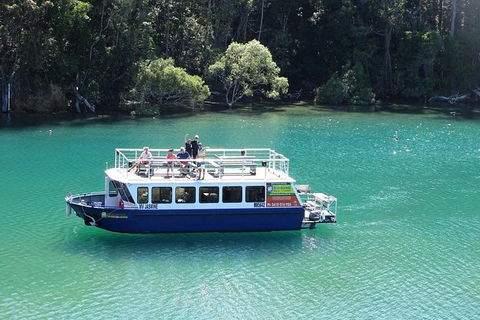 Brunswick Heads Rainforest Eco-Cruise - New Castle Tourism 0