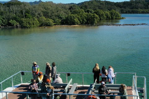 Brunswick Heads Rainforest Eco-Cruise - New Castle Tourism 8