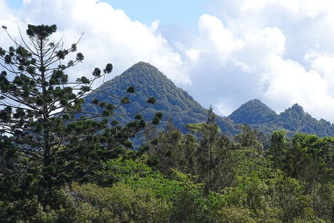 Brunswick Heads Rainforest Eco-Cruise - New Castle Tourism 3