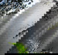 Minyon Falls Rainforest Walk