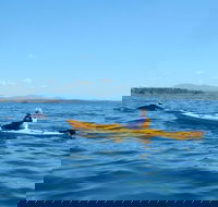 Whale Watching by Sea Kayak in Batemans Bay - New Castle Tourism