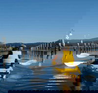Batemans Bay Oyster Tasting Kayak Tour - New Castle Tourism