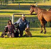 Meet The Animals - New Castle Tourism