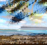 Arrawarra-Corindi Beach - New Castle Tourism