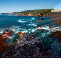 Boyds Tower to Saltwater Creek Walking Track - New Castle Tourism