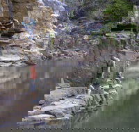 Butterfly Gorge Nature Park - New Castle Tourism