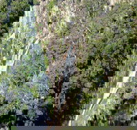 Carrai National Park