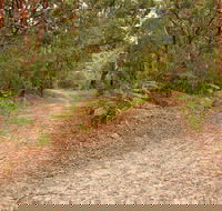 Daleys Point Walking Track - Newcastle Accommodation