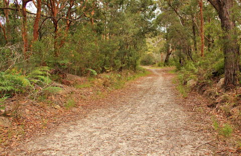Daleys Point Walking Track - Newcastle Accommodation 0