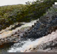 Davies Creek National Park and Dinden National Park - New Castle Tourism
