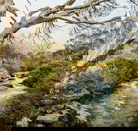 Dead Horse Gap walking track - Newcastle Accommodation