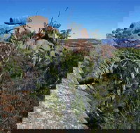 Evans Crown Nature Reserve - Newcastle Accommodation