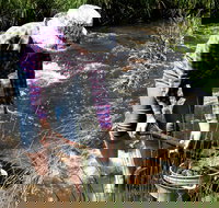 Fossicking - Newcastle Accommodation