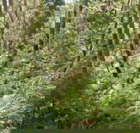 Gap Beach Walking Track