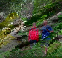 Grand Strzelecki Track - Newcastle Accommodation